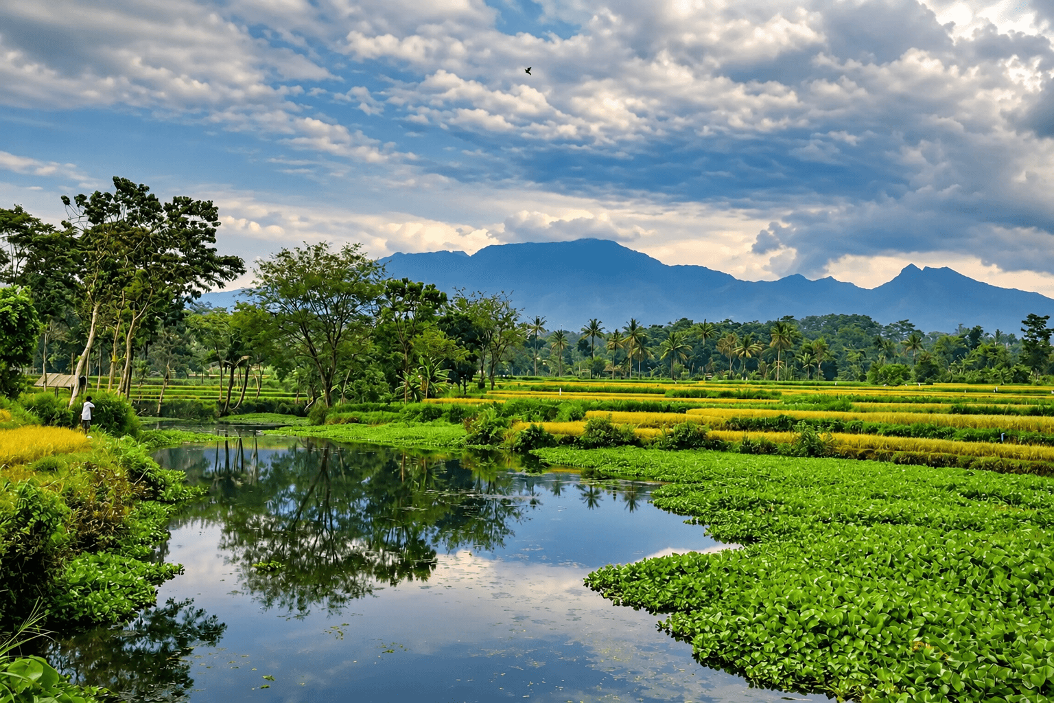 Panorama Alam dan Wilayah Desa Taman